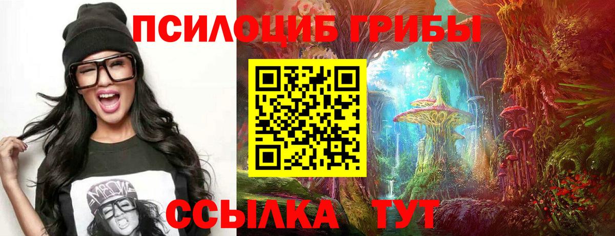APVP Корсаков