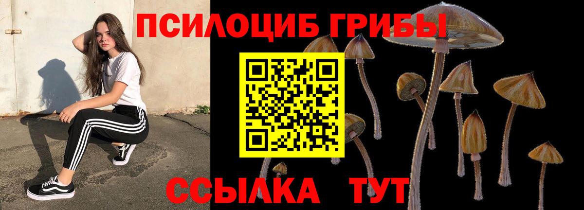 Корсаков  Псилоцибиновые грибы прущие грибы  Вход с VPN 